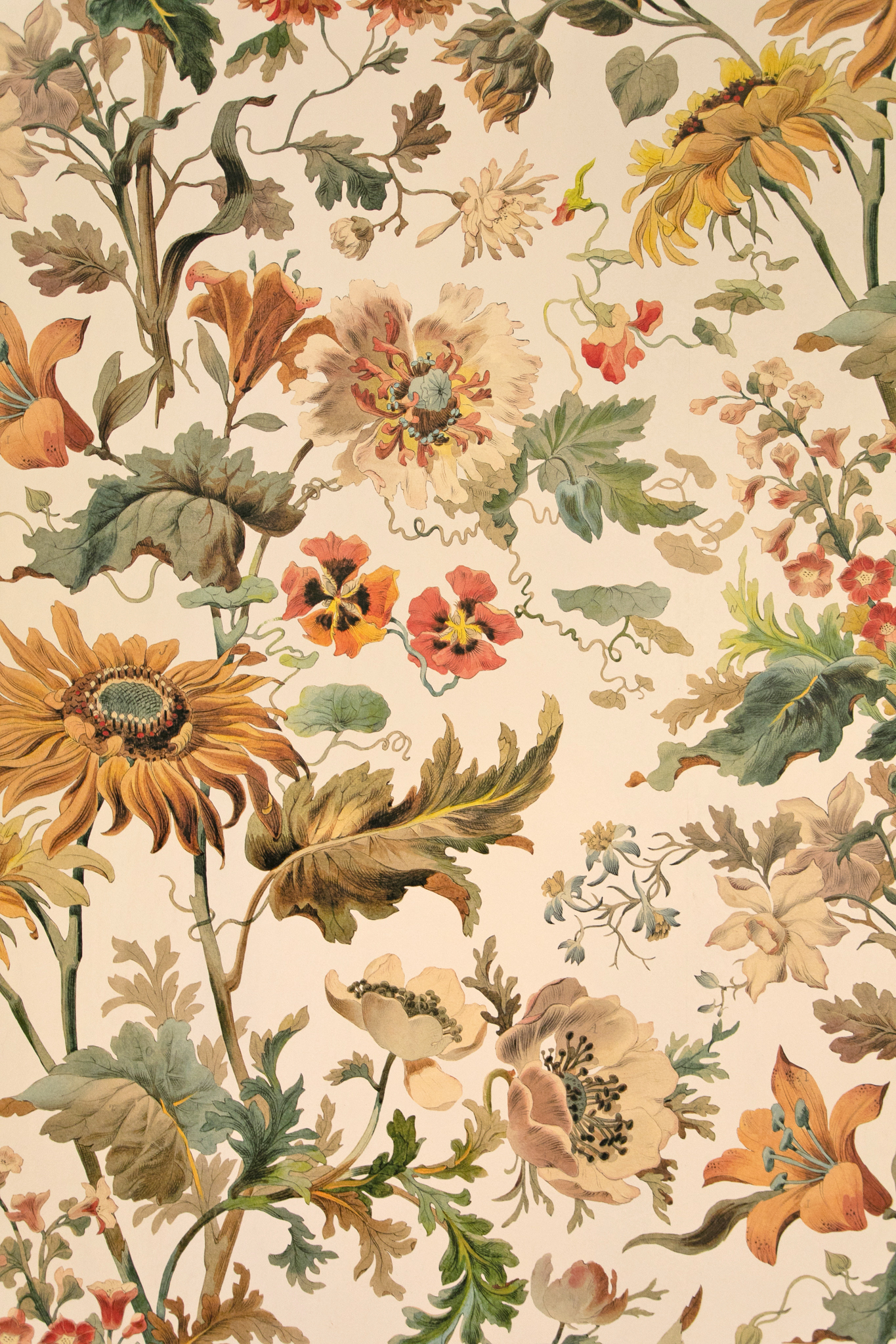 placeholder image-sq